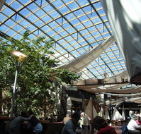 Jam Packed - Accommodation Gold Coast