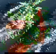 Little Red Providore - Accommodation Gold Coast