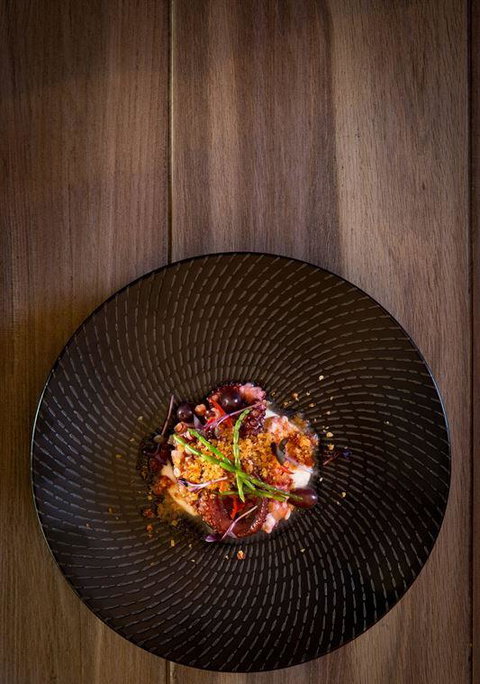 The Sunken Monkey - Accommodation Gold Coast 14