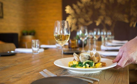 The Sunken Monkey - Accommodation Gold Coast 16