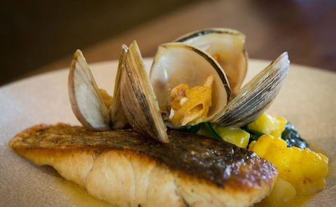 The Sunken Monkey - Accommodation Gold Coast 18