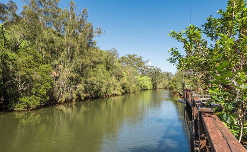 The Sunken Monkey - Accommodation Gold Coast 7