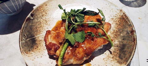 Allegra Dining - Accommodation Gold Coast 6