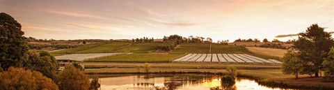 Fish Creek Hotel - Accommodation Gold Coast 10