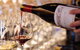 Wine 1160 - thumb 0