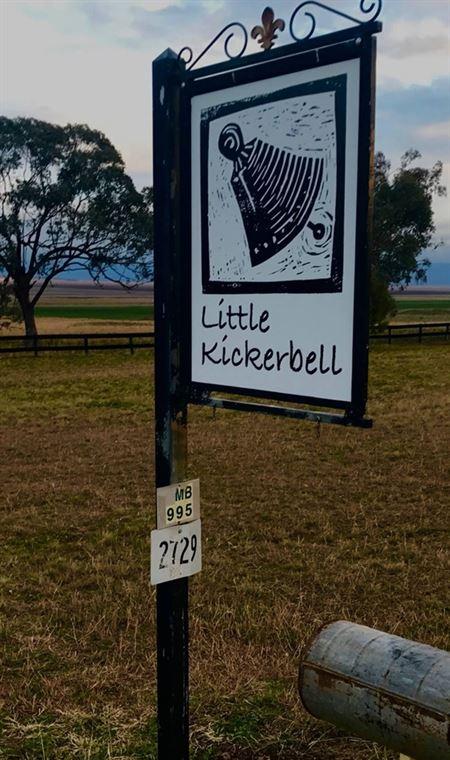 Little Kickerbell - Gold Coast 4U 1