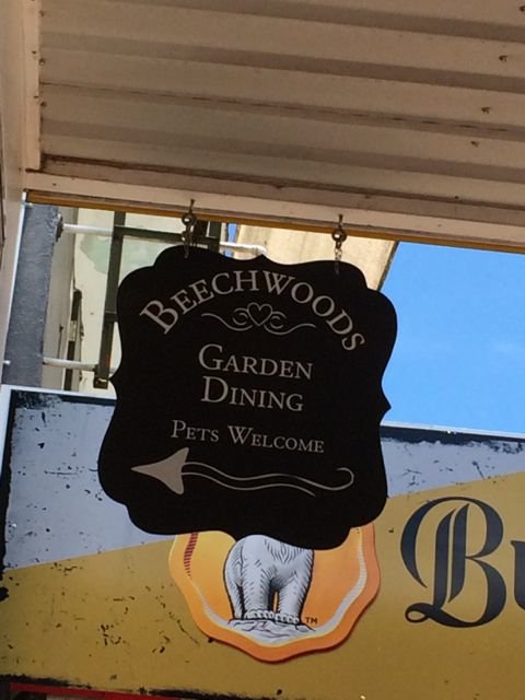Beechwoods Cafe - Accommodation Gold Coast 4
