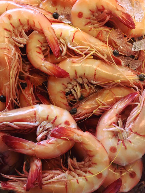 Fraser Shores Seafood - Accommodation Gold Coast 4