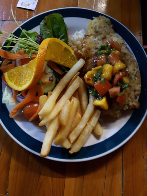 Silky Oak Tea Gardens - Gold Coast 4U 4