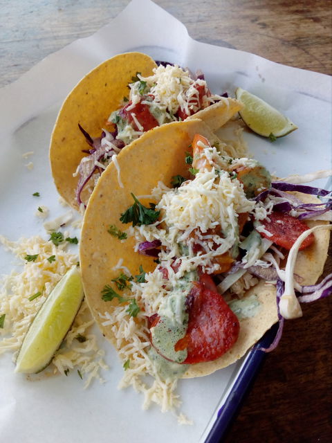Gringo Loco Cantina - Accommodation Gold Coast 3