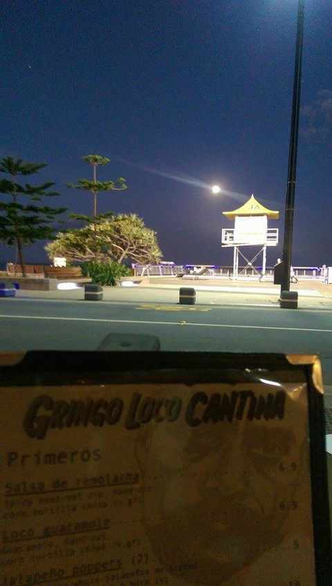 Gringo Loco Cantina - Accommodation Gold Coast 5