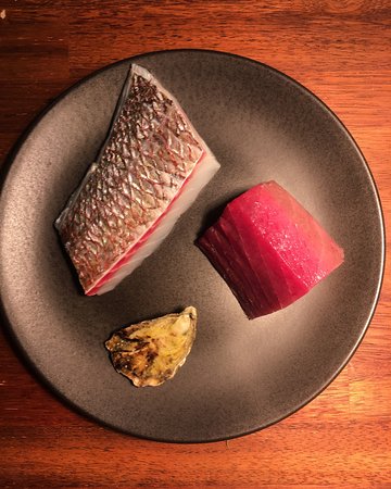 Yellowtail - Accommodation Gold Coast 0