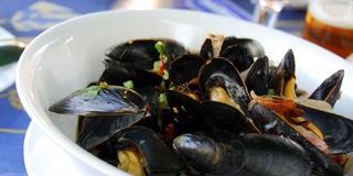 Parkland Restaurant - Gold Coast 4U 13