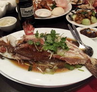 Shark Fin Inn - Accommodation Gold Coast