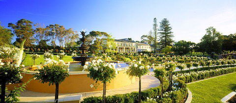 Sokyo - Gold Coast 4U 18