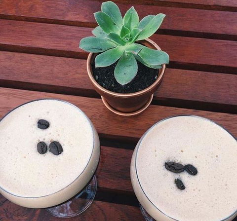 Blue Tongue Wine Bar - Accommodation Gold Coast 1