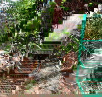 Larrimah Pink Panther Hotel - Accommodation Gold Coast