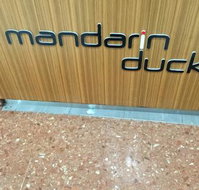 Mandarin Duck - Accommodation Gold Coast