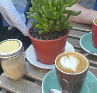 flora  Fauna - Accommodation Gold Coast
