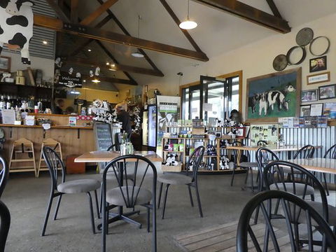 Holy Cow Cafe - Accommodation Gold Coast 0
