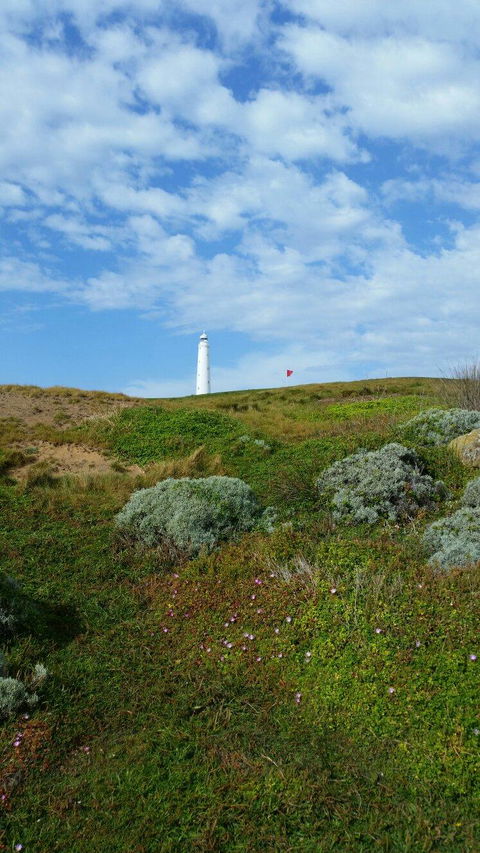 King Island Golf - Accommodation Gold Coast 8