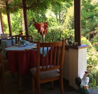 Lazy Teas - Accommodation Gold Coast