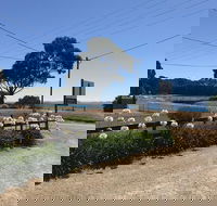 Penguin  Pardalote Coffee House - Accommodation Gold Coast