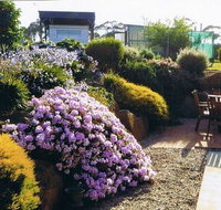 Pipers River Tea House and Crafts - Accommodation Gold Coast