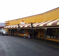 The Brown Dog - Accommodation Gold Coast
