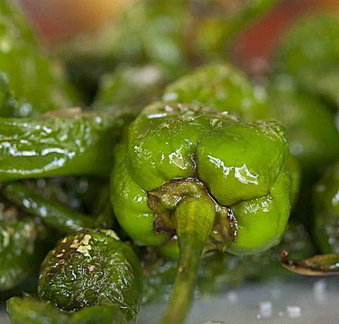 Palate - Accommodation Gold Coast 7