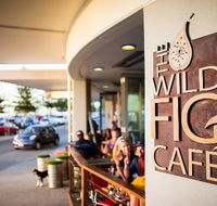 The Wild Fig - Gold Coast 4U