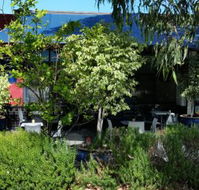 Bishop and Clove - Accommodation Gold Coast