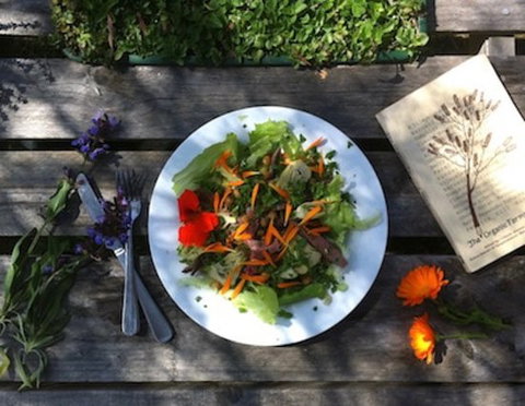 Fair Harvest Farm Cafe - Accommodation Gold Coast 0