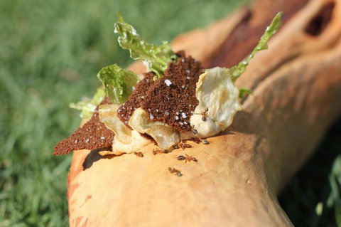 Fervor - Accommodation Gold Coast 0