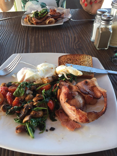 Ellie's Cafe - Accommodation Gold Coast 2