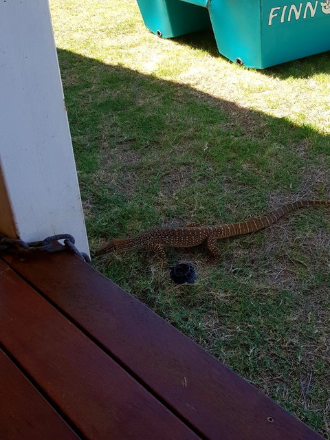 Sunsets Cafe At One Mile Jetty - Accommodation Gold Coast 4