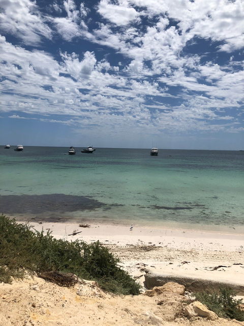 The Lobster Shack - Gold Coast 4U 6