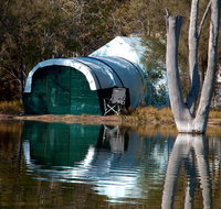 Boshack - Accommodation Gold Coast
