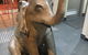 Elephant And Castle - thumb 1