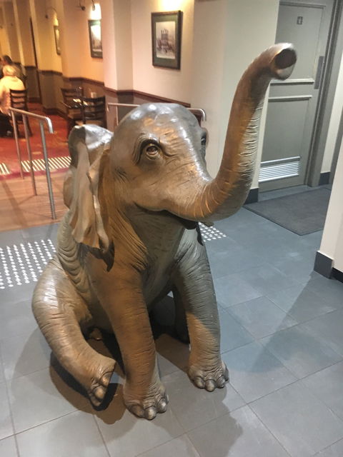 Elephant And Castle - Accommodation Gold Coast 2