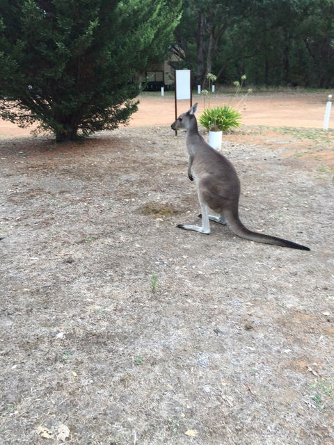 Quinninup Tavern And Restaurant - 1 Gold Coast 2