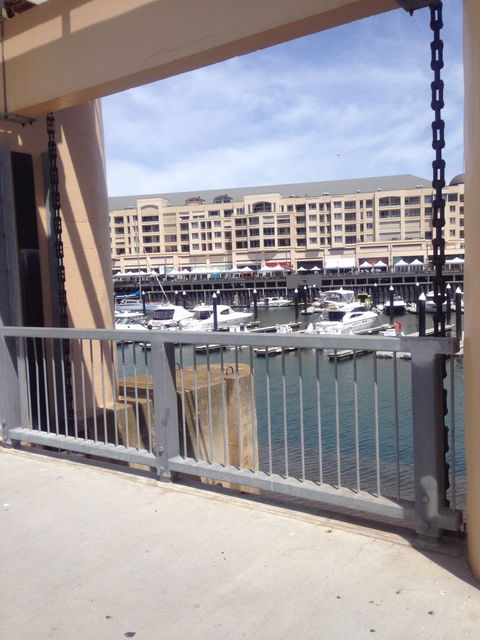 Folklore Cafe - Accommodation Gold Coast 7