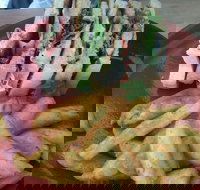 The Front Page Cafe - Accommodation Gold Coast