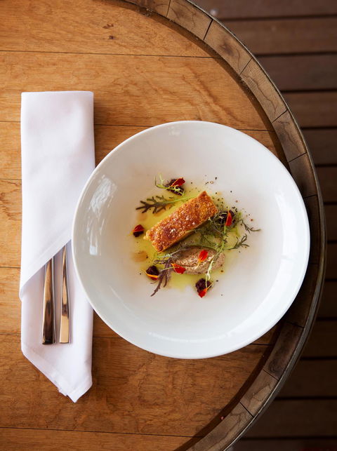 Maxwell - Accommodation Gold Coast 3