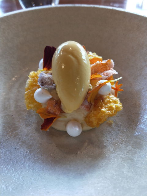 Maxwell - Accommodation Gold Coast 4