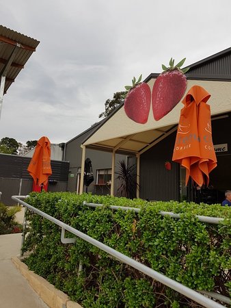 Green Valley Strawberries - Accommodation Gold Coast 0