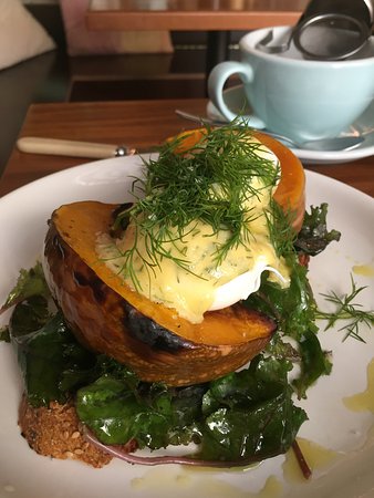 Felix For Goodness - Accommodation Gold Coast 0