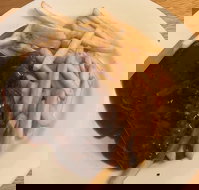 Mount Pleasant Hotel Motel - Accommodation Gold Coast