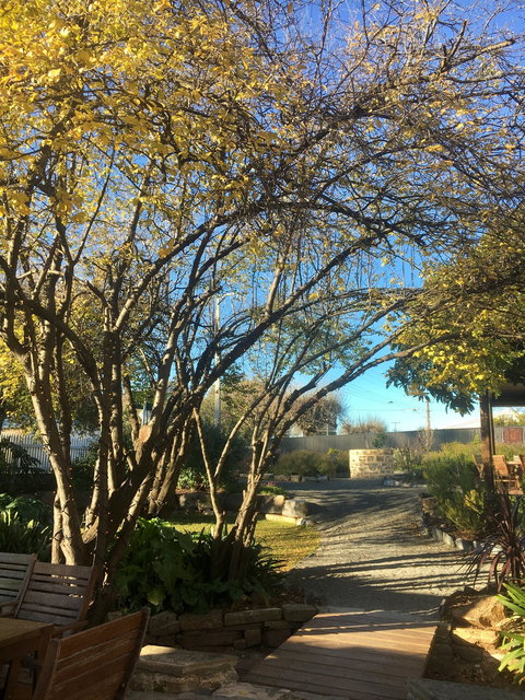 Velvet And Willow Wines - Accommodation Gold Coast 5