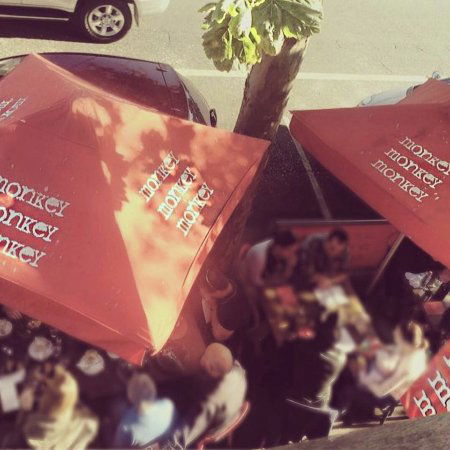 Three Monkeys Cafe - Gold Coast 4U 0